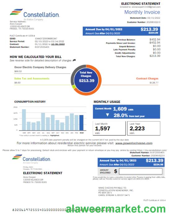 USA CONSTELLATION utility bill Word and PDF template